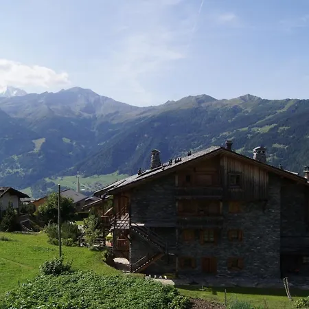 Ortolan 224 *